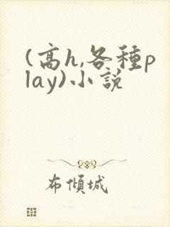 (高h,各种play)小说