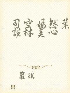 司空嫣然叶凡小说林美心