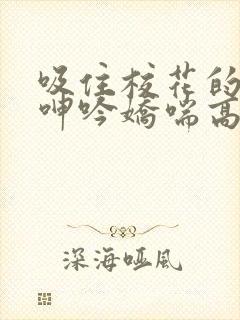 吸住校花的奶头呻吟娇喘高潮