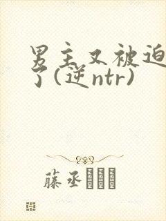 男主又被迫出轨了(逆ntr)