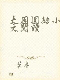 大团圆结小茹全文阅读