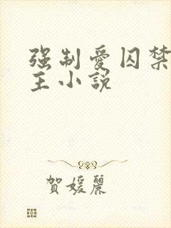 强制爱囚禁双男主小说