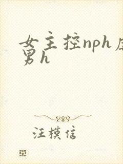 女主控nph虐男h