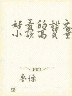 好看的甜文言情小说高质量文笔好