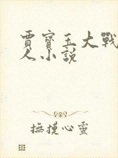 贾宝玉大战王夫人小说封面