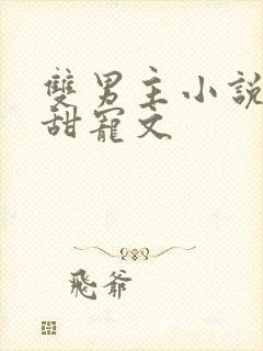 双男主小说推荐甜宠文封面