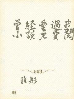 曾经爱过我刘念小说免费阅读