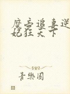 魔帝追妻逆天邪妃狂天下封面