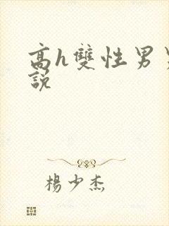 高h双性男男小说