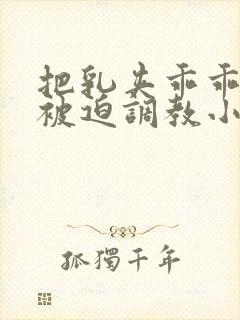 把乳夹乖乖戴上被迫调教小说