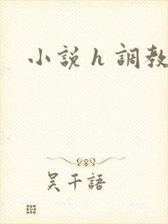 小说 h 调教