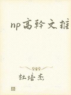 np高干文推荐