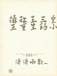 摄政王三皇子女主重生的小说