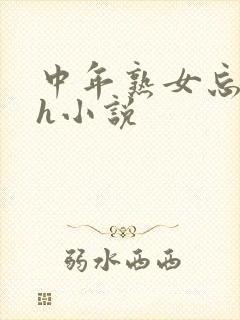 中年熟女忘年恋h小说