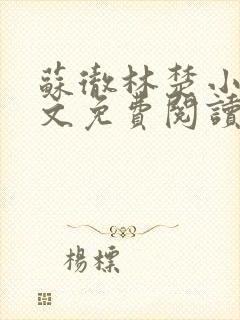 苏彻林楚小说全文免费阅读封面