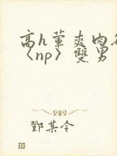 高h荤爽肉欲文〈np〉双男