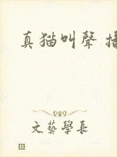真猫叫声 播放