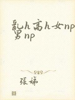 乱h高h女np男np封面