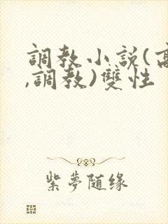 调教小说(高h,调教)双性