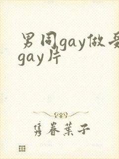 男同gay做受gay片