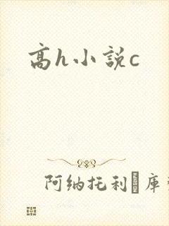 高h小说c