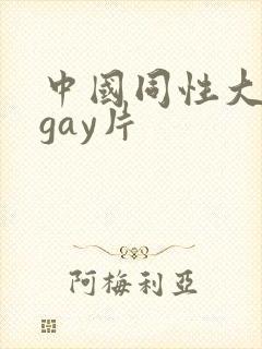 中国同性大尺度gay片