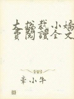 大总裁小娇妻免费阅读全文