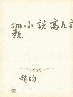 sm小说高h调教封面