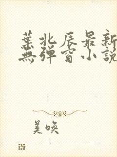 叶北辰最新章节无弹窗小说下载封面