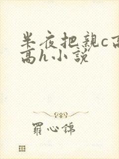 半夜把亲c高潮高h小说封面