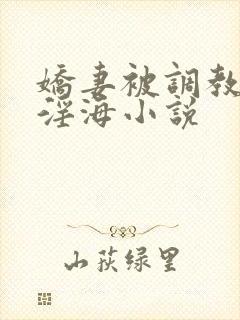 娇妻被调教堕落淫海小说