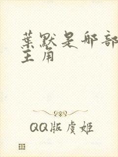 叶默是哪部小说主角封面