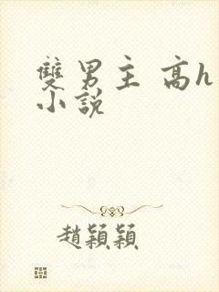 双男主 高h 小说封面