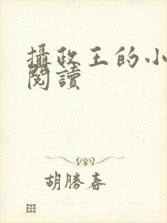 摄政王的小闲妻阅读