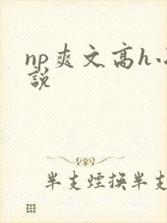np爽文高h小说