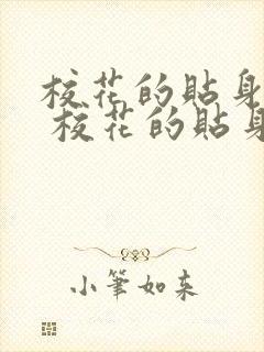 校花的贴身高手 校花的贴身高手封面