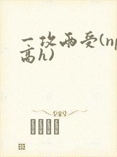 一攻两受(np高h)