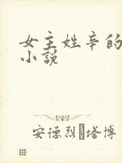 女主姓辛的现代小说