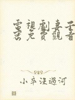 电视剧妻子的秘密免费观看完整版全集