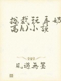 总裁玩弄奶头(高h)小说