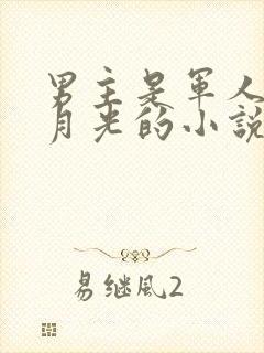 男主是军人有白月光的小说