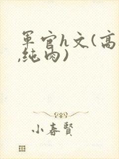 军官h文(高h,纯肉)