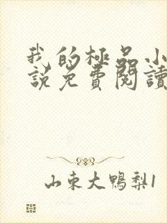 我的极品小姨小说免费阅读免费