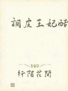 调皮王妃酷王爷