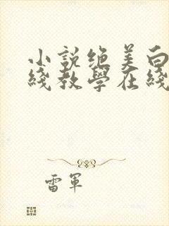 小说绝美白莲在线教学在线阅读封面