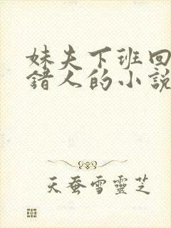 妹夫下班回家认错人的小说免费阅读