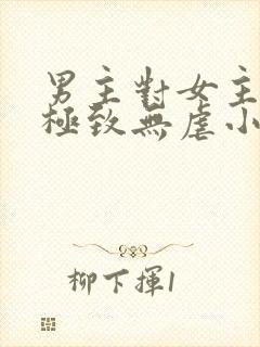 男主对女主宠到极致无虐小说