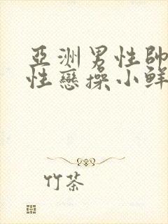 亚洲男性帅哥同性恋操小鲜肉逼