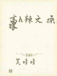 高h辣文 操屁眼