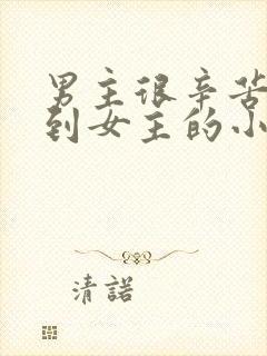 男主很辛苦才追到女主的小说